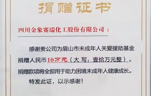 向眉山市慈善总会捐赠：未成年人关爱援助基金10万元